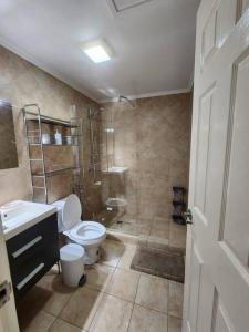 a bathroom with a shower and a toilet and a sink at Condominio Gold Coast 2BR 3BTH in Palm-Eagle Beach