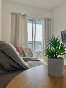 sala de estar con sofá y mesa con planta en Apartamento para locação em Itajai SC, en Itajaí