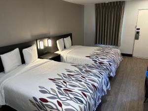 - une chambre d'hôtel avec 2 lits dans l'établissement Red Roof Inn Wildwood, FL - The Villages, à Wildwood