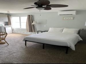 舊奧查德比奇的住宿－Echo Motel，一间卧室配有一张床和吊扇