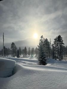 a snow covered field with trees and the sun in the sky at Sälen, Tandådalen in Sälen
