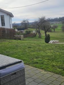 un patio con una casa y un campo de hierba en PREMIUM HOME 2 en Gottmadingen