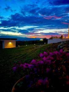 洛斯桑托斯的住宿－LUZ DE LUNA minihouse，一座建筑前方的紫色花田