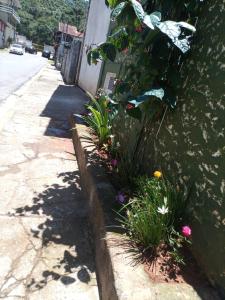 uma parede de retenção com plantas do lado de uma rua em Cantinho Aconchego em Santo Antônio do Pinhal