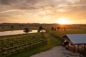 an aerial view of a vineyard at sunset at Cleveland Estate in Lancefield