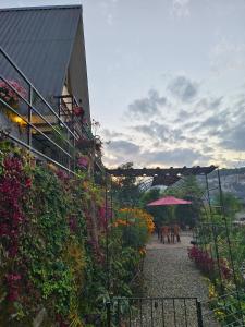 a garden with a pink umbrella and a building at Zangmo Lee Baam Rezay gangtok Sikkim in Gangtok