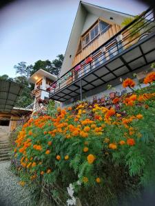 a bunch of orange flowers in front of a building at Zangmo Lee Baam Rezay gangtok Sikkim in Gangtok