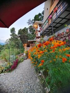 甘托克的住宿－Zangmo Lee Baam Rezay gangtok Sikkim，建筑物边的一束鲜花