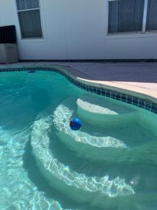 - une piscine avec un ballon bleu dans l'eau dans l'établissement David &Jennie’s Place I, à Missouri City