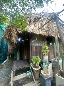 a small house with a thatched roof and potted plants at Cactos Bar & Homestay in Ho Chi Minh City