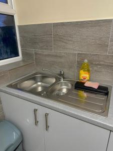 a kitchen sink with a bottle of soap and a sponge at Sandy Lodge Bungalow in Boston