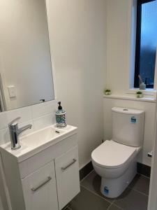 uma casa de banho com um WC, um lavatório e um espelho. em Auckland CBD, Parnell Ensuite+Patio+Secluded Garage em Auckland