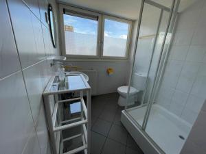 ein Bad mit einer Dusche, einem Waschbecken und einem WC in der Unterkunft Holiday home Watersnip 5 in Lemmer