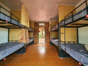 a room with three bunk beds and a hallway at Ha Giang Garden Bungalow in Ha Giang