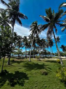 a group of palm trees on the beach at Family Cabana at Amihan Surf Cabanas in General Luna