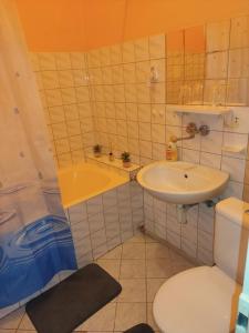 a bathroom with a sink and a toilet and a tub at Jednoizbový byt v centre Banskej Bystrice in Banská Bystrica