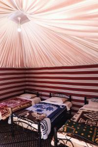 Легло или легла в стая в Wadi Rum Backpacker Camp