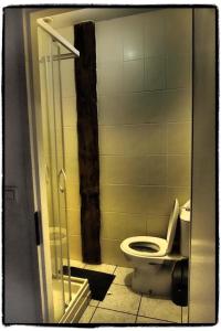 een badkamer met een toilet in een douchecabine bij Appartements de la ferme du Brocey in Crolles