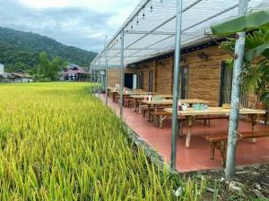 a restaurant in the middle of a rice field at Ha Giang Garden Bungalow in Ha Giang