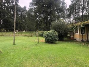 un patio con una casa y un arbusto en Cherbury, en Winterton