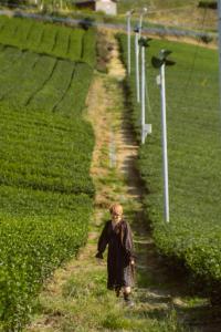 a woman walking down a dirt road in a field at HOTEL SOLA Yame-ADULT ONLY- in Chikugo +71 photos