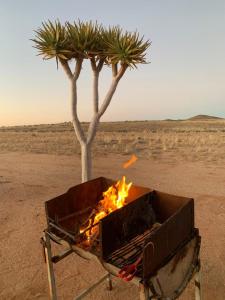 uma fogueira no deserto com uma palmeira em Bremen em Grünau