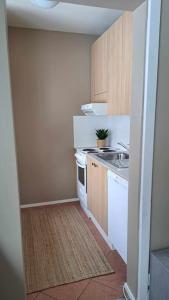 Η κουζίνα ή μικρή κουζίνα στο Kaunis yksiö lähellä keskustaa