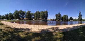 Priroda u blizini kampa