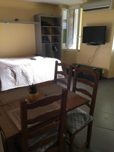 TV a/nebo společenská místnost v ubytování Appartement climatisé 1 à 4 personnes avec belle terrasse