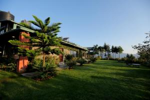a yard with a house and a palm tree at Cedar Lodge By Aahma in Rāmgarh
