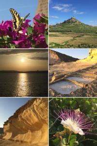 a collage of photos with a butterfly and flowers at Ta’ Giljan B&B Gozo in Xagħra