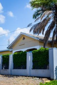 a house with a blue fence and a palm tree at Rhoja homes in Ruhengeri