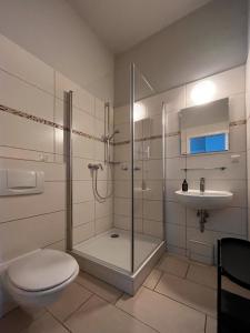 een badkamer met een douche, een toilet en een wastafel bij Apartments am Hafen in Stralsund