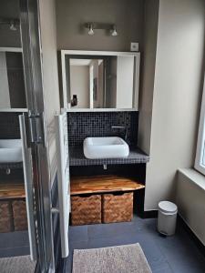 een badkamer met een wastafel en een spiegel bij Studio Brest centre ville, 3ème étage sans ascenseur in Brest