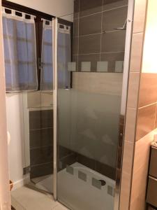 een douche met een glazen deur in de badkamer bij Agréable appartement Chez Mamé Jeanne au Grau du Roi in Le Grau-du-Roi