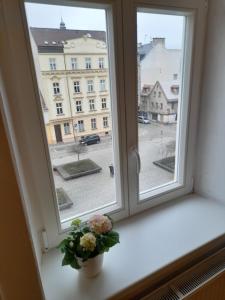 un jarrón de flores sentado en un alféizar de la ventana en Apartmán Nad náměstím, en Liberec