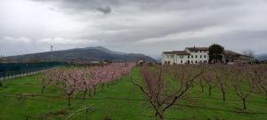 a field with trees in front of a building at Casa Vacanze Principesca in Pescantina
