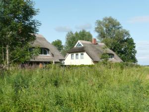 an old house in a field of tall grass at Behagliches Reetdachhaus Eibe 1 in Puddemin