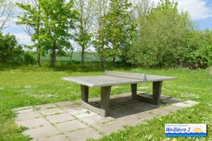 a bench sitting on a concrete slab in a field at Familienfreundliches Reetdachhaus Weissdorn 2 in Puddemin