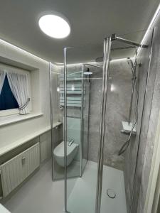 een badkamer met een glazen douche en een toilet bij Watthüs in Morsum