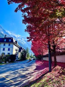 uma árvore com folhas vermelhas no lado de uma rua em Chalet la Pagode, vue Mont-Blanc et jardin privé em Chamonix-Mont-Blanc