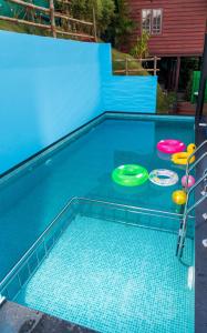trzy frisbee na ziemi w basenie w obiekcie pookode villa w mieście Vythiri