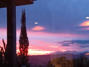 vistas a la puesta de sol desde una ventana con un árbol en Mapleton Peaceful Provence BnB, en Mapleton