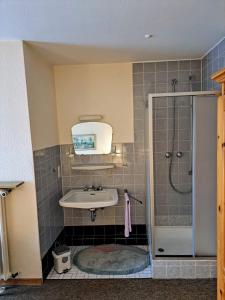 a bathroom with a sink and a shower at Pension Waltermann in Balve