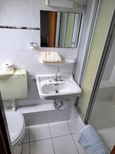 a bathroom with a sink and a toilet and a mirror at Pension Waltermann in Balve