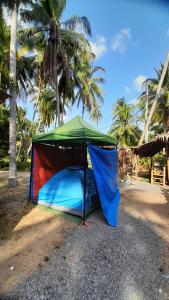 a tent on the side of a beach with palm trees at Ganja Gardens Camping in Ban Nua