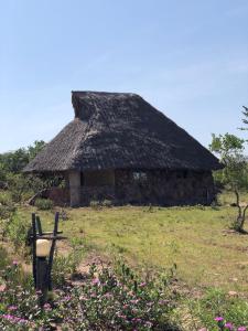 un ancien bâtiment en pierre avec un toit en gazon dans l'établissement Explore Nature Lodge, à Ololaimutiek