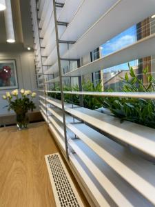 um corredor com plantas num edifício em LM Axis Apartment em Kielce
