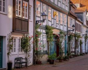 una fila de casas con flores en una calle en Moritzberg-Lodge, en Hildesheim