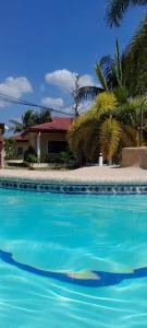 a swimming pool with blue water in front of a house at Bonita Oasis Beach Resort in Moalboal